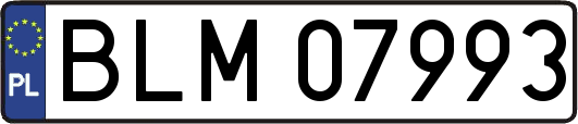 BLM07993