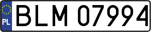 BLM07994
