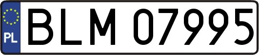BLM07995