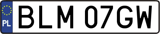 BLM07GW