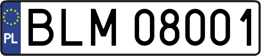 BLM08001