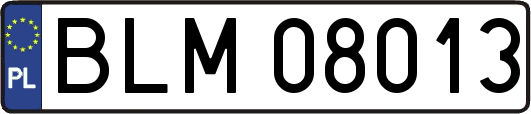 BLM08013