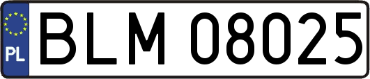 BLM08025