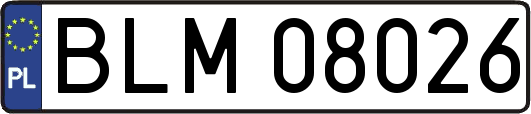 BLM08026