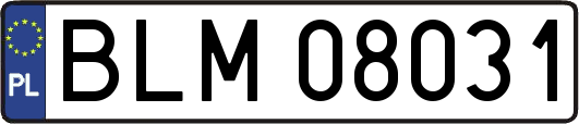 BLM08031