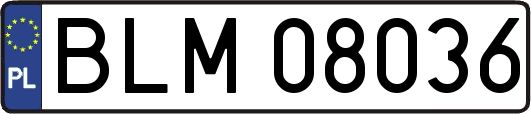 BLM08036