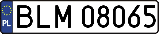 BLM08065