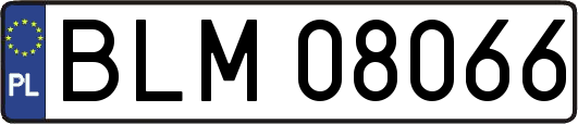 BLM08066