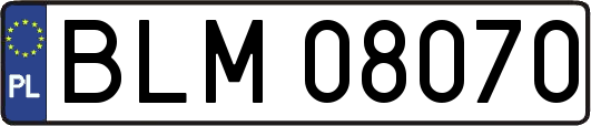 BLM08070