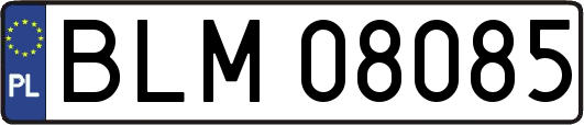BLM08085