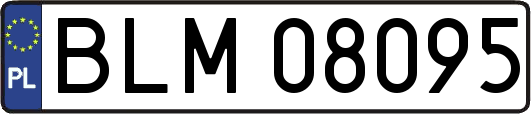 BLM08095