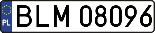 BLM08096