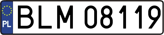 BLM08119