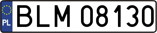 BLM08130