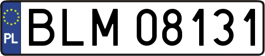 BLM08131