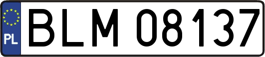 BLM08137