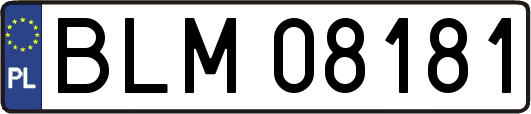 BLM08181