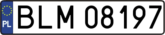 BLM08197