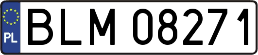 BLM08271