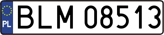 BLM08513