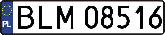 BLM08516