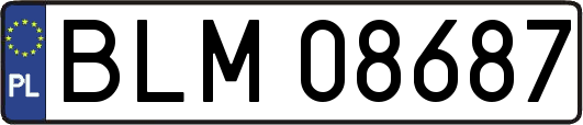 BLM08687