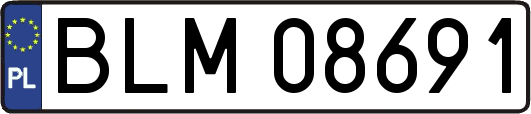 BLM08691