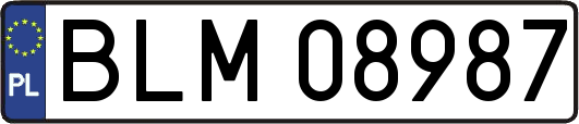 BLM08987