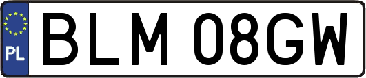 BLM08GW