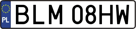 BLM08HW
