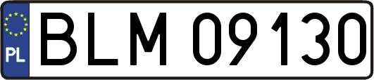 BLM09130