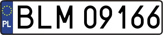 BLM09166