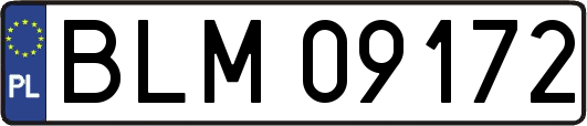 BLM09172