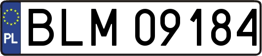 BLM09184