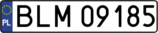 BLM09185