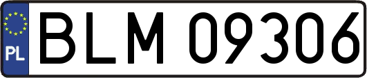BLM09306