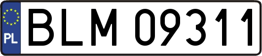 BLM09311