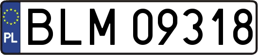BLM09318