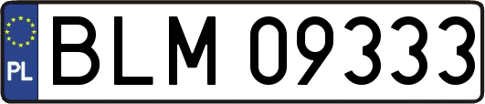 BLM09333