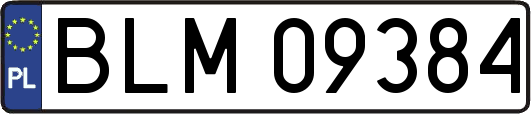 BLM09384