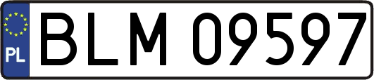 BLM09597