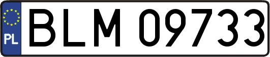 BLM09733
