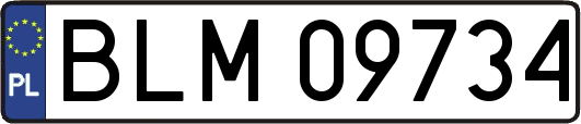 BLM09734