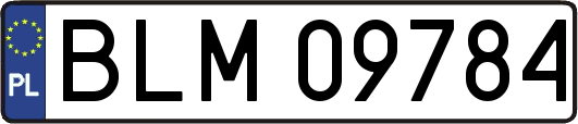 BLM09784