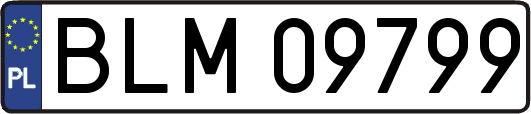 BLM09799
