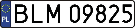 BLM09825