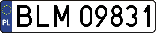 BLM09831