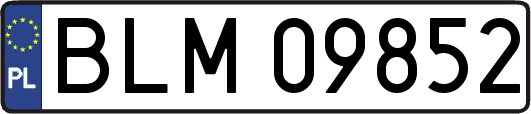 BLM09852