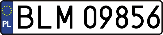 BLM09856