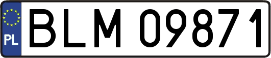 BLM09871